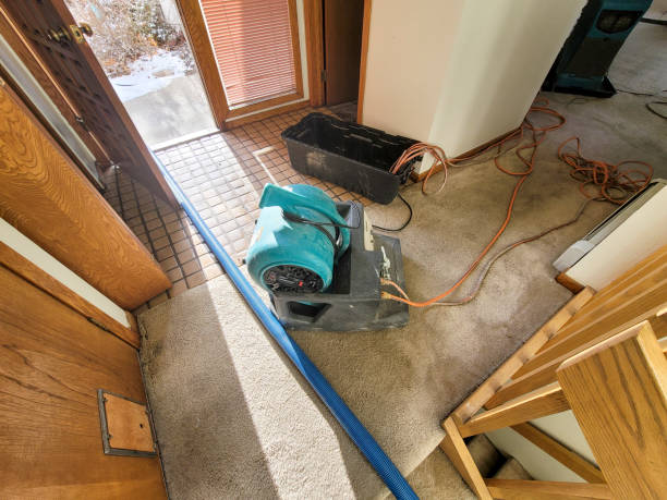 Best Water damage restoration services  in West Grove, PA