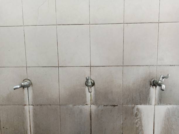 Best Basement water damage restoration  in West Grove, PA